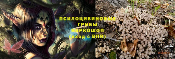 2c-b Мегион