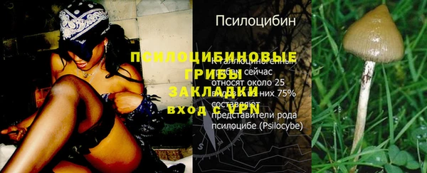 mdma Михайлов