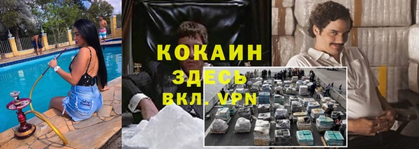 стафф Медногорск